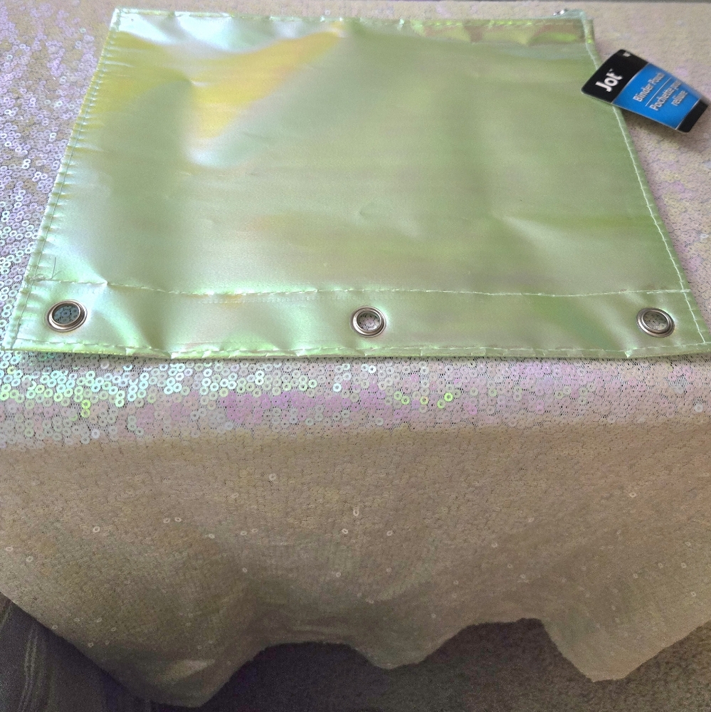 💥5/$10💥 Irridescent green 💚 zipper bag